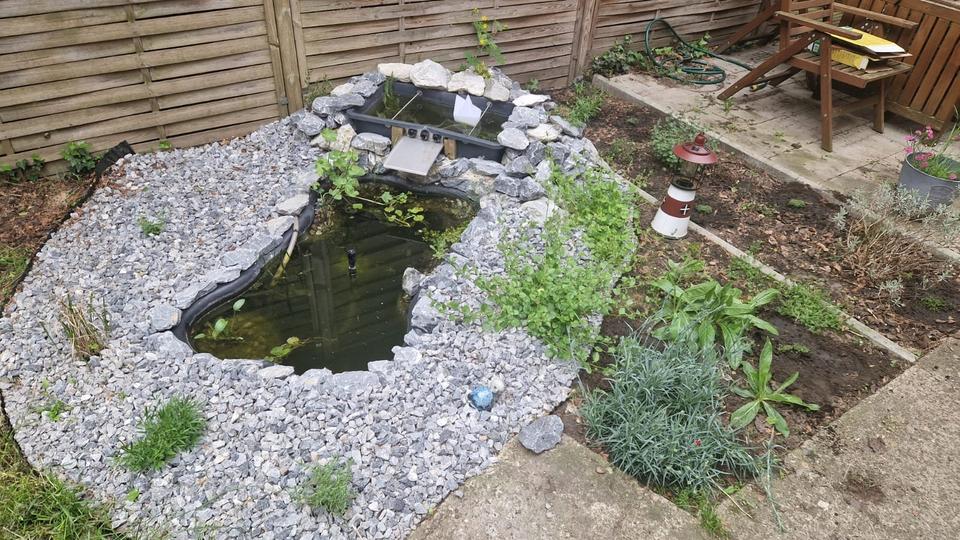 Helle 3,5-Zimmer-Erdgeschosswohnung mit eigenem Garten & Garage – 3 zimmer