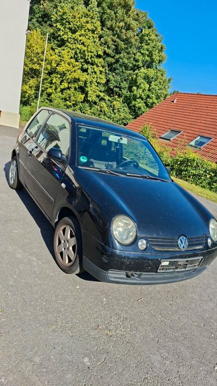 Lupo