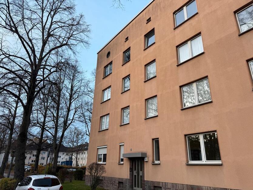 Hagen Eckesey 1 Zimmer Apartment EG frisch gestrichen zimmer