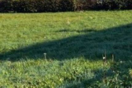 Grundstück Dortmund Lanstrop - 130.000&euro; | Angebot:23533327