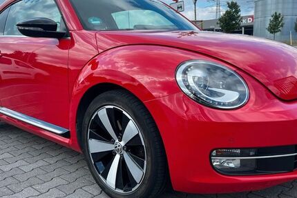 VW Beetle