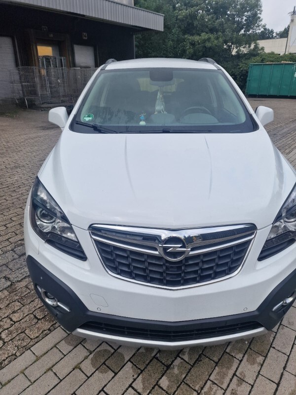 Mokka