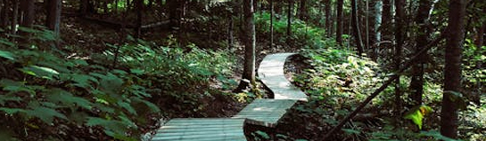 Freizeit und Natur im Sauerland