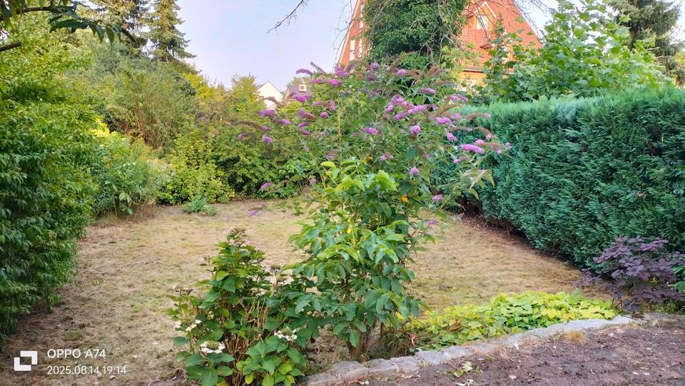 Schönes Haus direkt am Kurpark im Hammer Osten