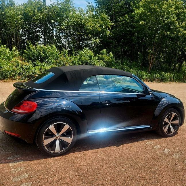 Beetle