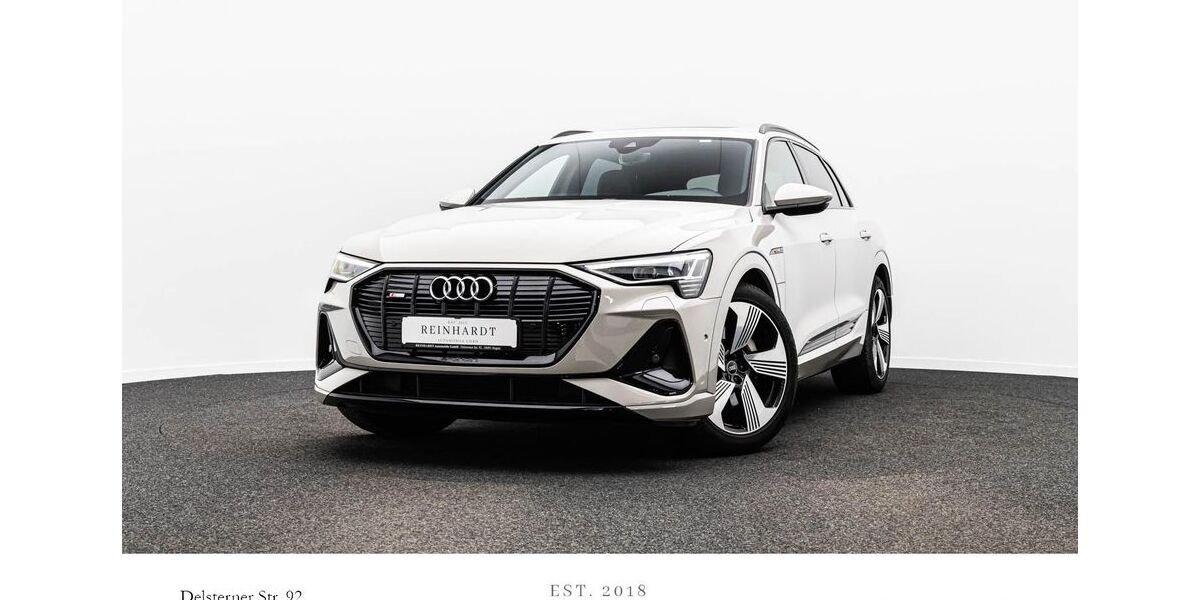 Audi e-tron 45.953 km 34.138 &euro; Hagen 58091