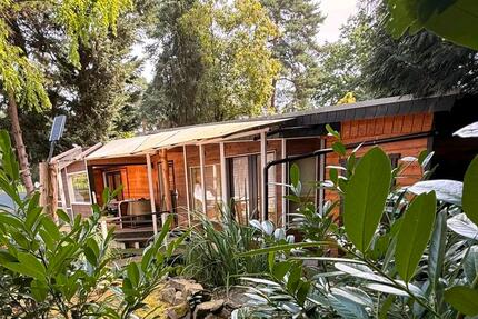 Haus Olfen - 2.5 Zimmer, 40 m&sup2;, 49.000&euro; | Angebot:27297390