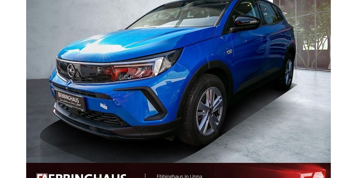 Opel Grandland (X) 29.126 km 18.499 &euro; Unna 59423