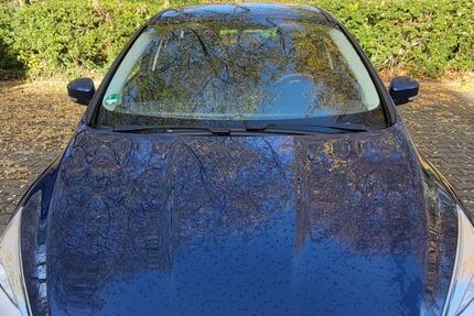 Ford Focus 74.196 km 6.000 &euro; Gelsenkirchen 45881