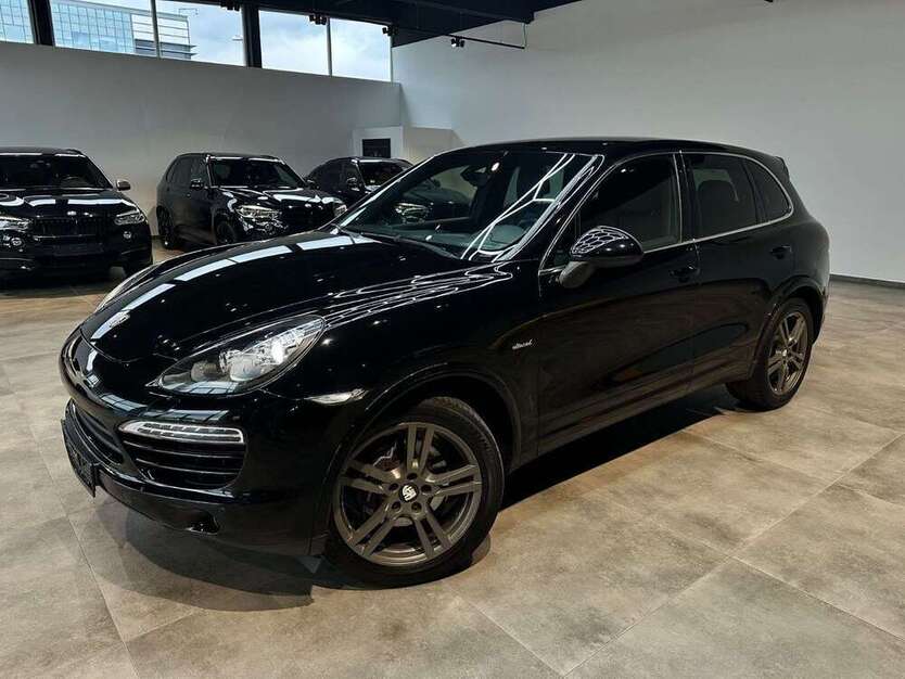 Cayenne