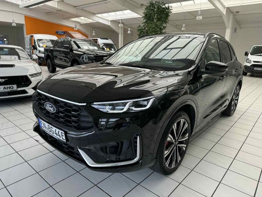 Kuga