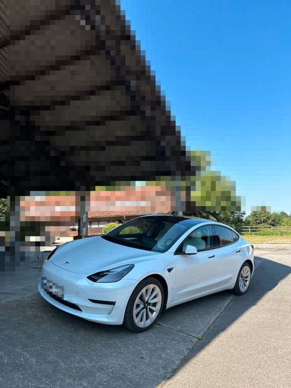 Model 3