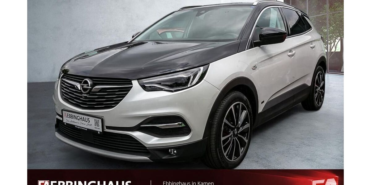 Opel Grandland (X) 47.033 km 17.999 &euro; Kamen 59174