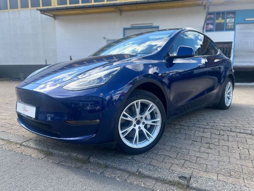 Model Y