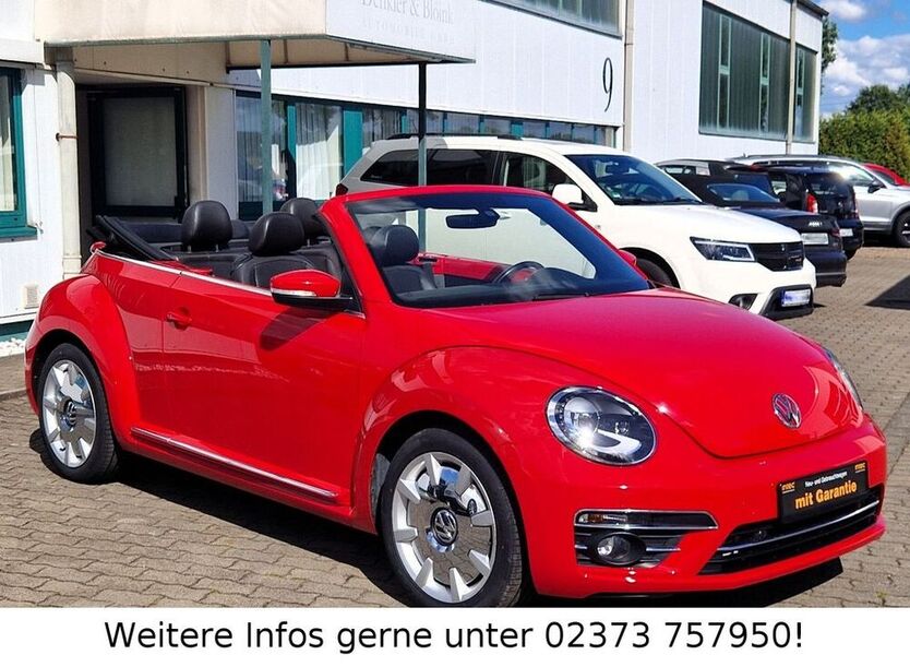 Beetle