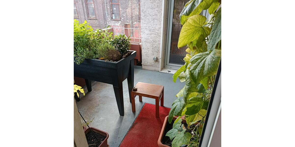 Etagenwohnung Dortmund Huckarde - 2.5 Zimmer, 62 m&sup2;, 149.000&euro; | Angebot:27487025