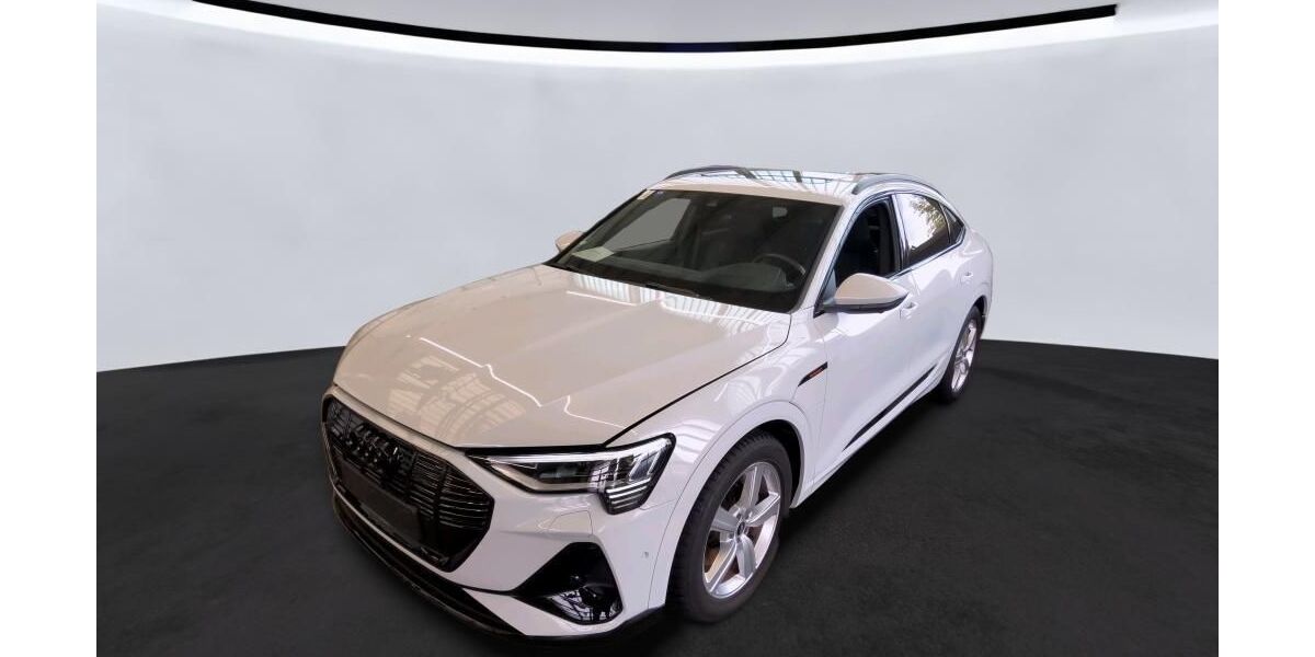 Audi e-tron 12.309 km 44.565 &euro; Hagen 58091