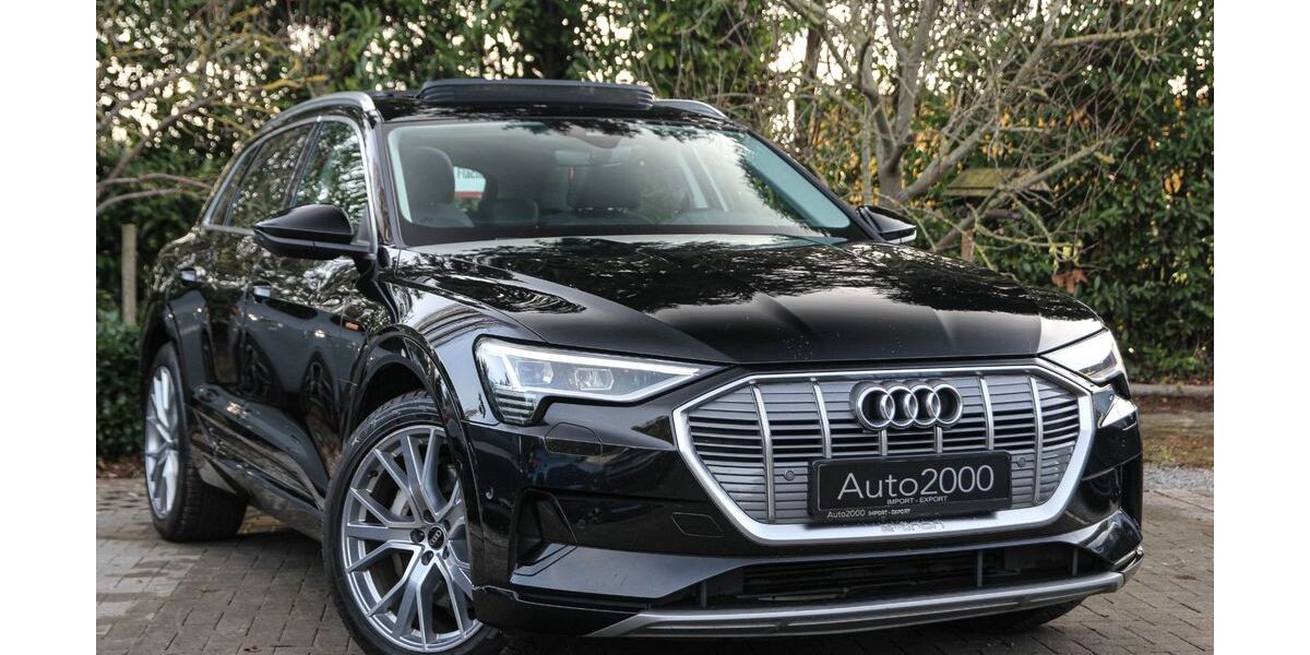 Audi e-tron 191.900 km 19.490 &euro; Unna 59427