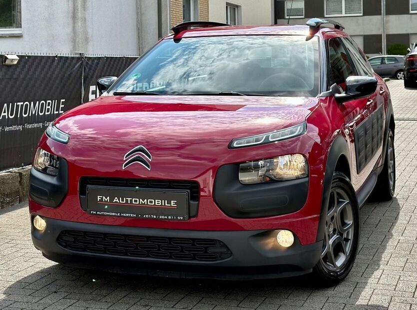 C4 Cactus