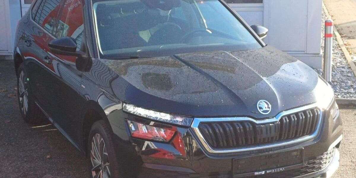 Skoda Kamiq 38.550 km 19.870 &euro; Lünen 44534