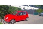 Lupo