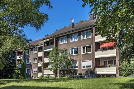 Wohnung Hagen Hagen-Nord - 3 Zimmer, 70 m&sup2;, 519&euro; | Angebot:24751931