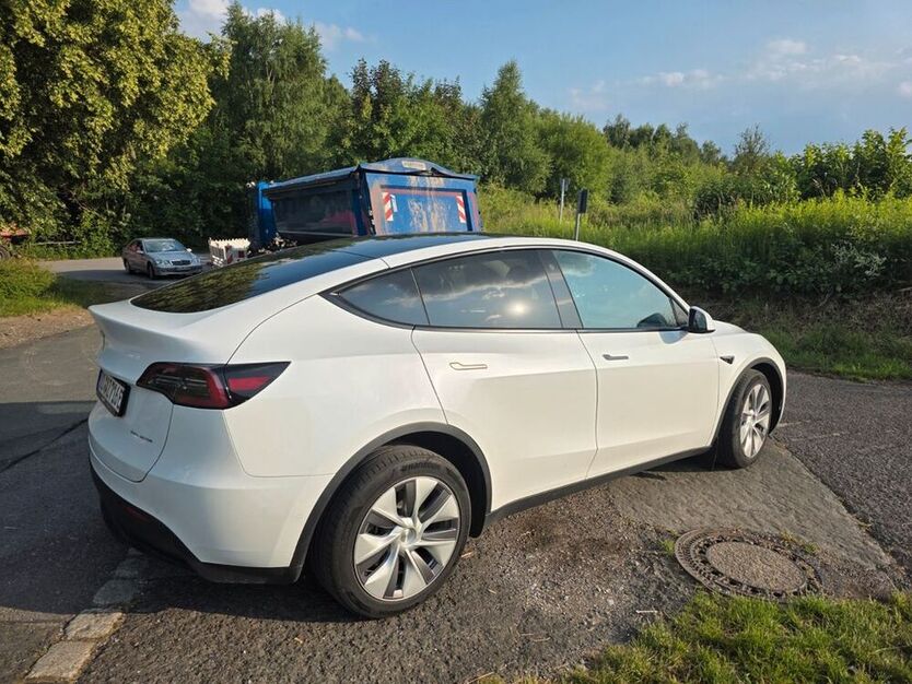 Model Y