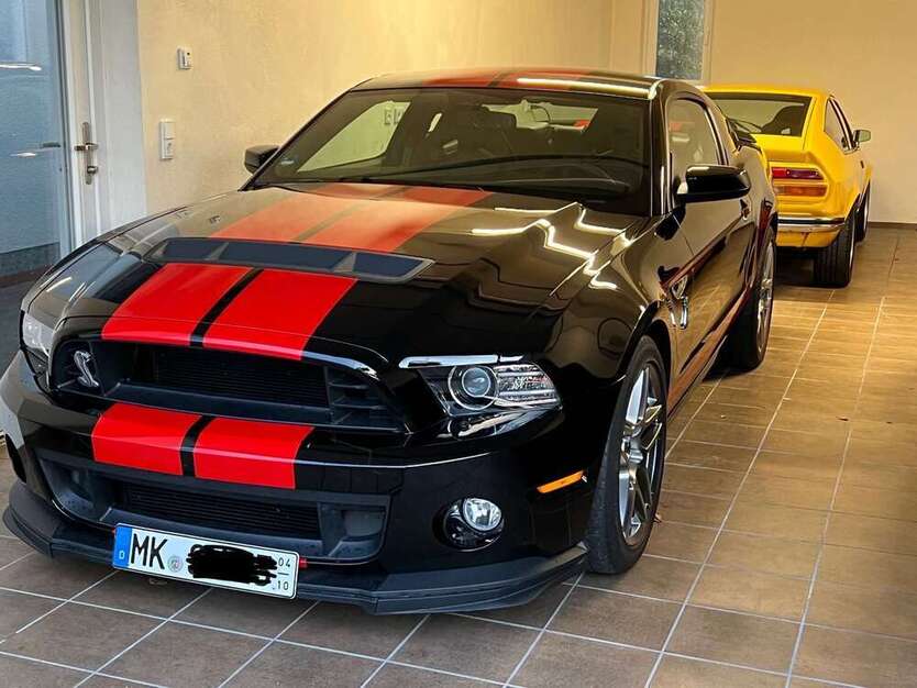 Mustang