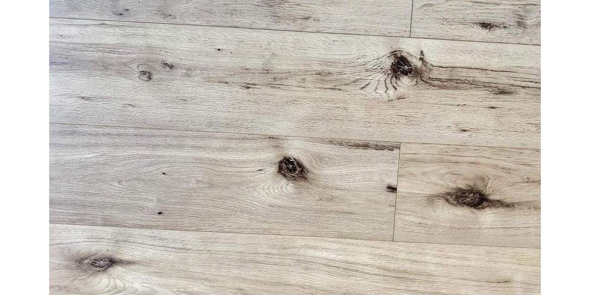 2 Zimmer Wohnung - Erstbezug nach Sanierung 2 zimmer