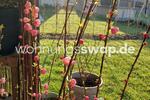 Etagenwohnung Dortmund Hombruch - 1 Zimmer, 40 m&sup2;, 660&euro; | Angebot:25909441