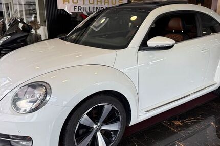 VW Beetle