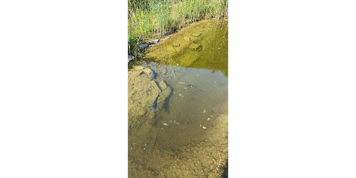 Mehrfamilienhaus, Wohnhaus Dortmund Wambel - 1 Zimmer, 280 m&sup2;, 699.000&euro; | Angebot:24005252