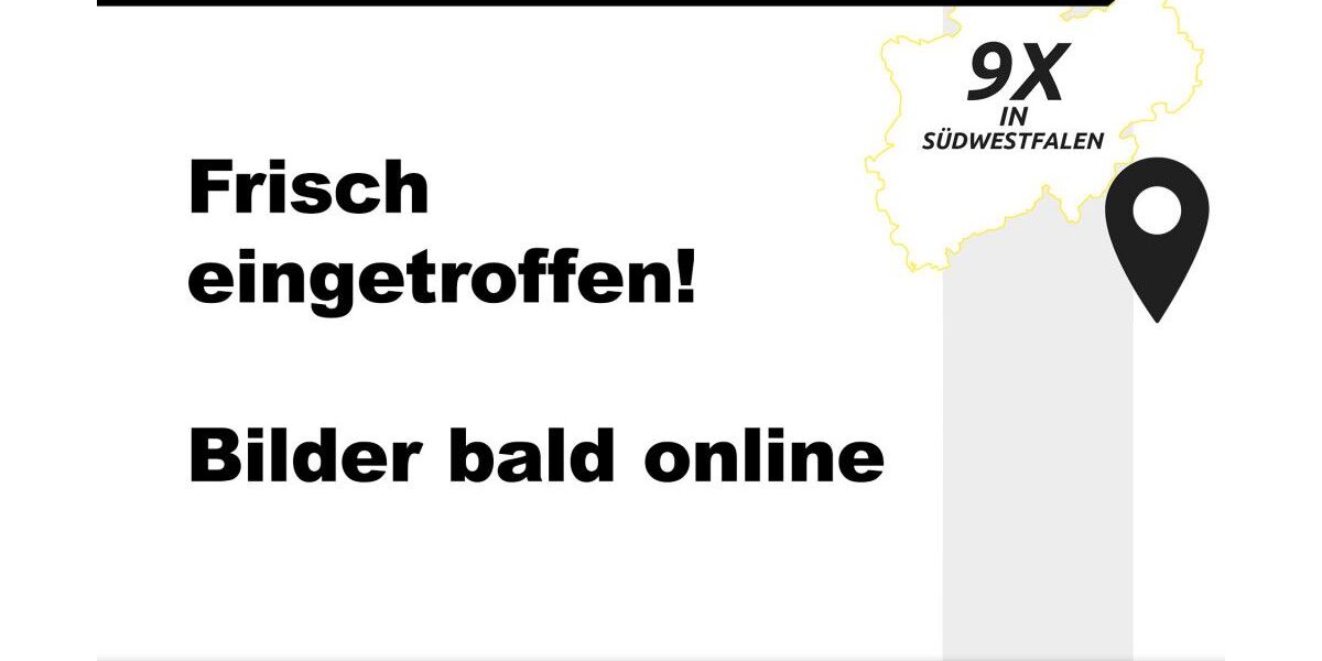 VW Polo 86.020 km 14.950 &euro; Iserlohn 58636