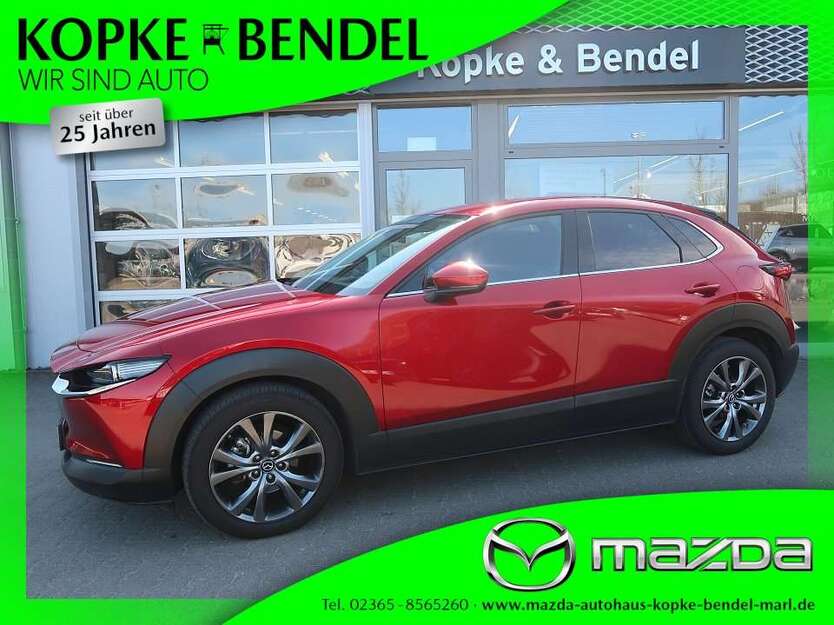 CX-30
