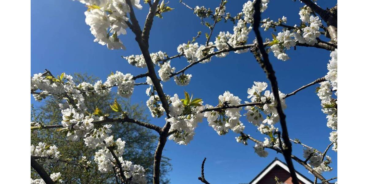 Grundstück Castrop-Rauxel Behringhausen - 224.000&euro; | Angebot:26156345