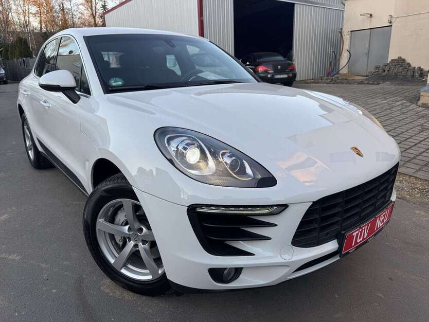 Macan