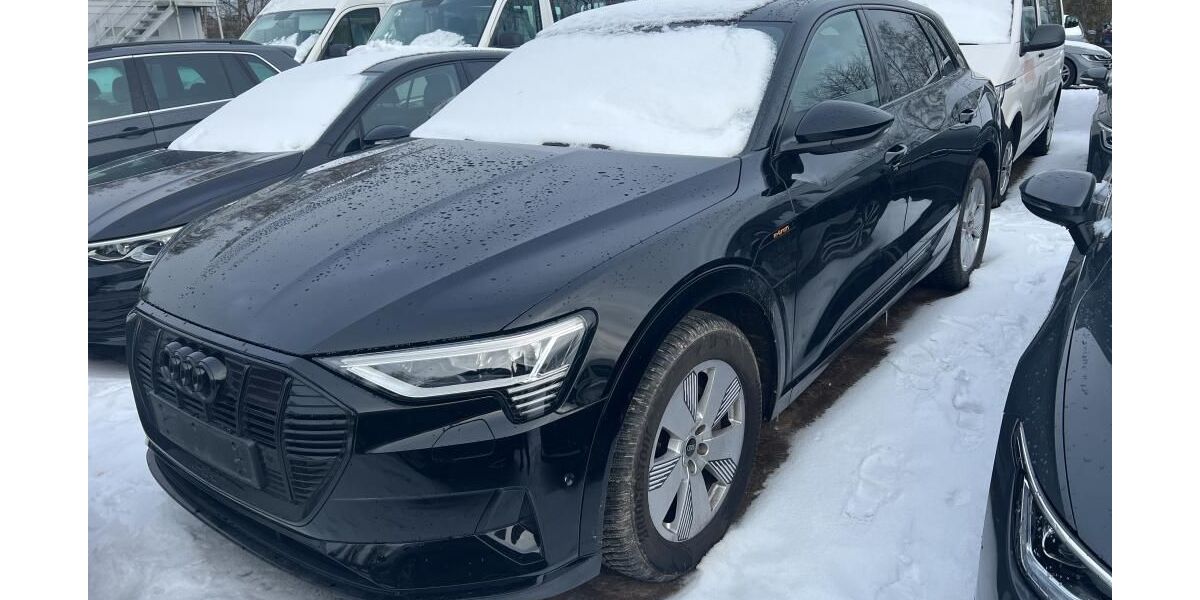 Audi e-tron 61.926 km 35.945 &euro; Hagen 58091