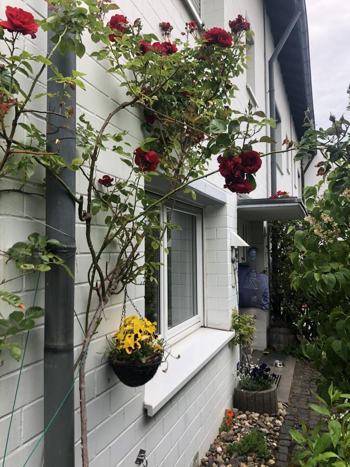 Einfamilienhaus in ruhiger Bestlage in Essen-Stadtwald