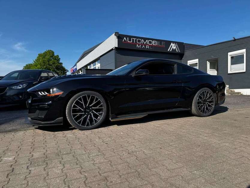 Mustang