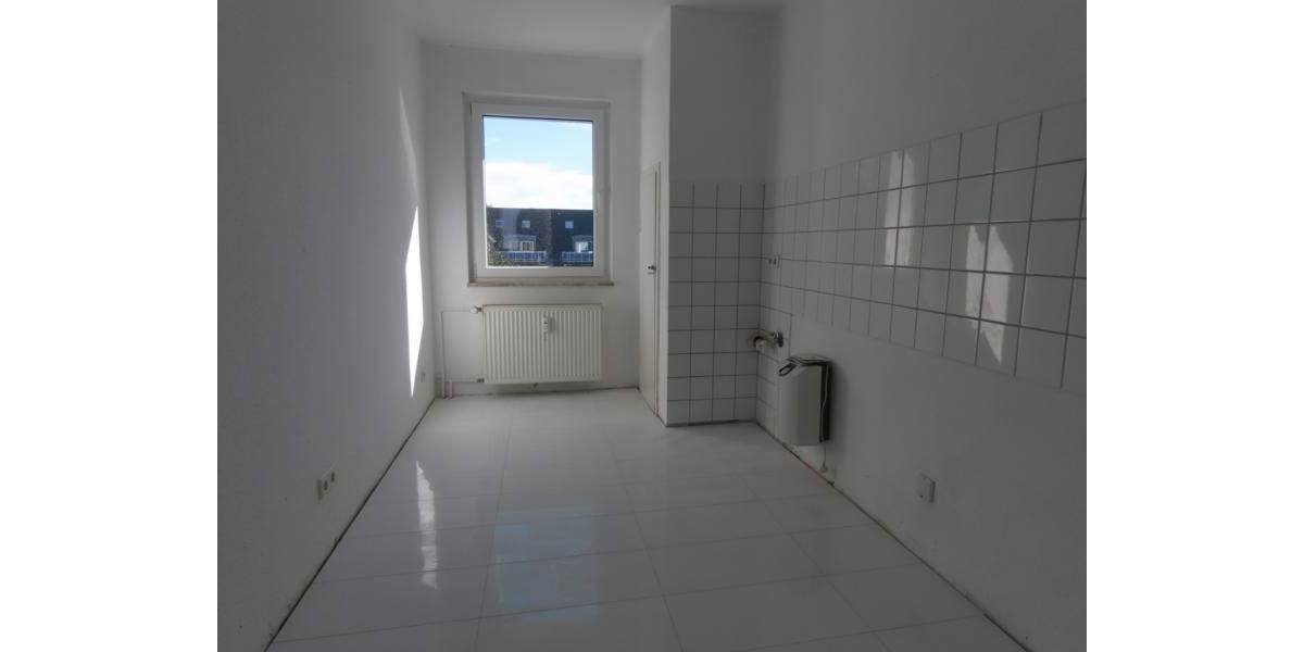 Mehrfamilienhaus, Wohnhaus Gelsenkirchen Erle - 1 Zimmer, 476 m&sup2;, 595.000&euro; | Angebot:24812114