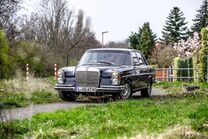 Gebrauchtwagen Mercedes 250 SE