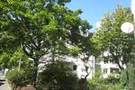 Etwas besonderes: 3,5-Zimmer-StadtWohnung (WBS!!!!)