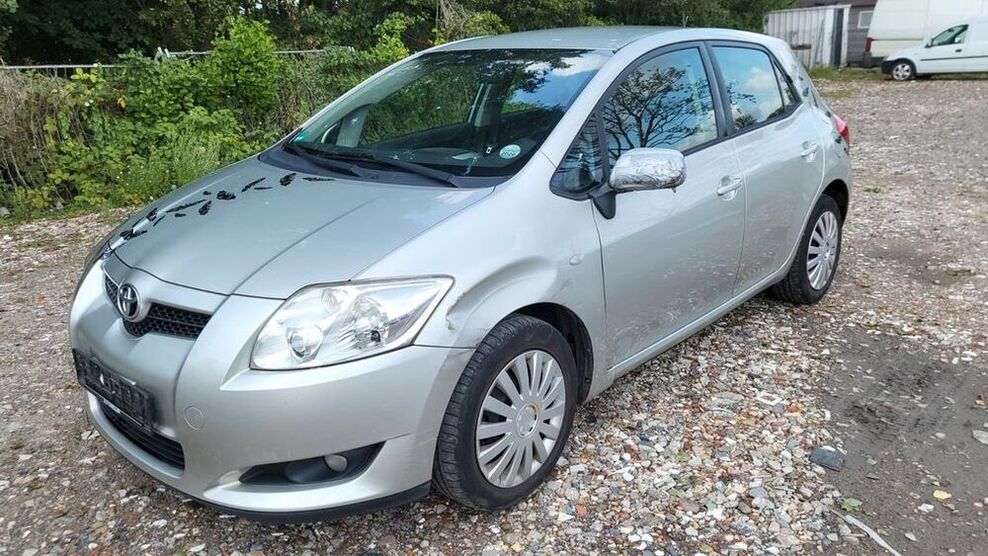 Auris