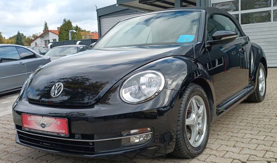 Beetle