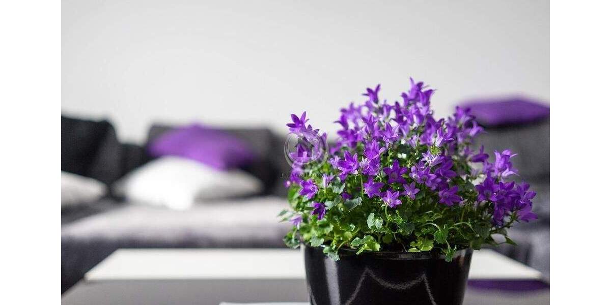 !!! ImmoPoint !!! (5) 6-Familienhaus in TOP LAGE !!! (IP V 6 CK 210) 1 zimmer