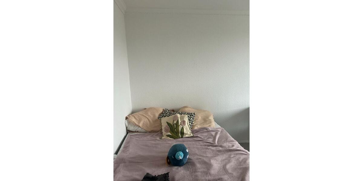 Zimmer in einem WG NUR FÜR FRAUEN !!!! 18 zimmer