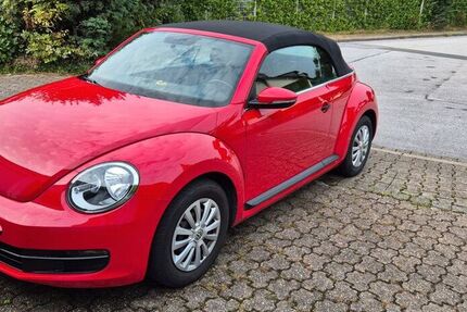 VW Beetle