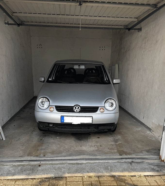 Lupo