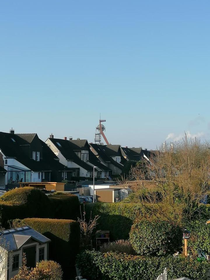 Die passende Wohnung von VIVAWEST mit Wohnberechtigungsschein. zimmer