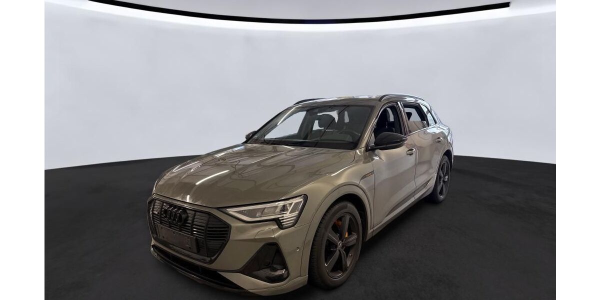 Audi e-tron 39.307 km 35.872 &euro; Hagen 58091